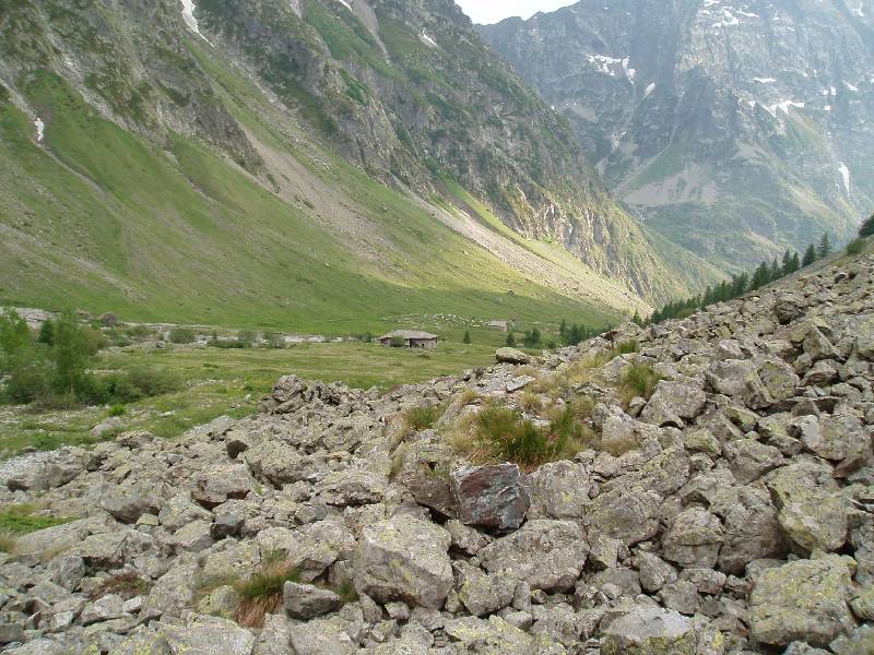 Youri - Ecrins 2005 131 